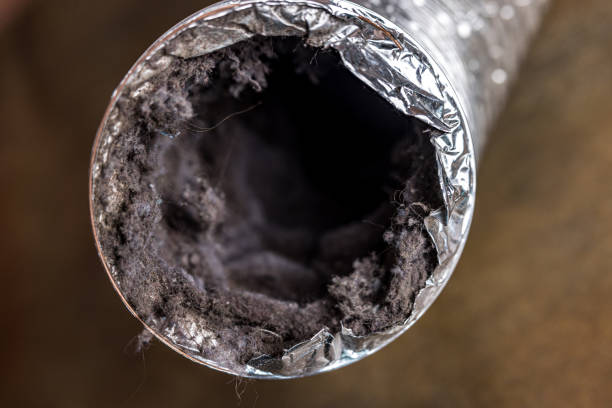 Best HVAC System Cleaning  in Montgomery Village, MD